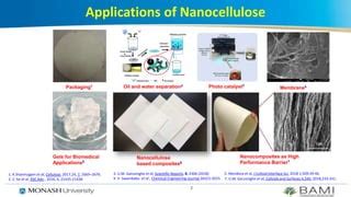  Nanocellulose: A Revolution for Sustainable and High-Performance Packaging!