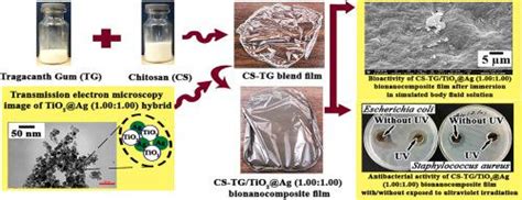  Bionanocomposite: Desvendando as Aplicações Revolucionárias deste Material Híbrido!